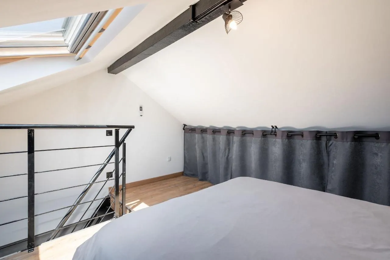 Superbe Loft Industriel - Casa Vostra - Caution 800 Eur & Id Requises - Gaillard Tram-Frontiere Apartment 0*,  France